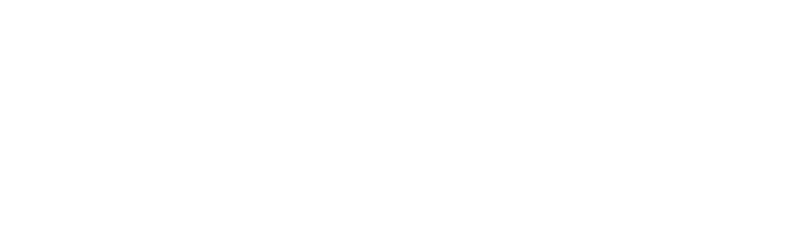 SAFER Logo White