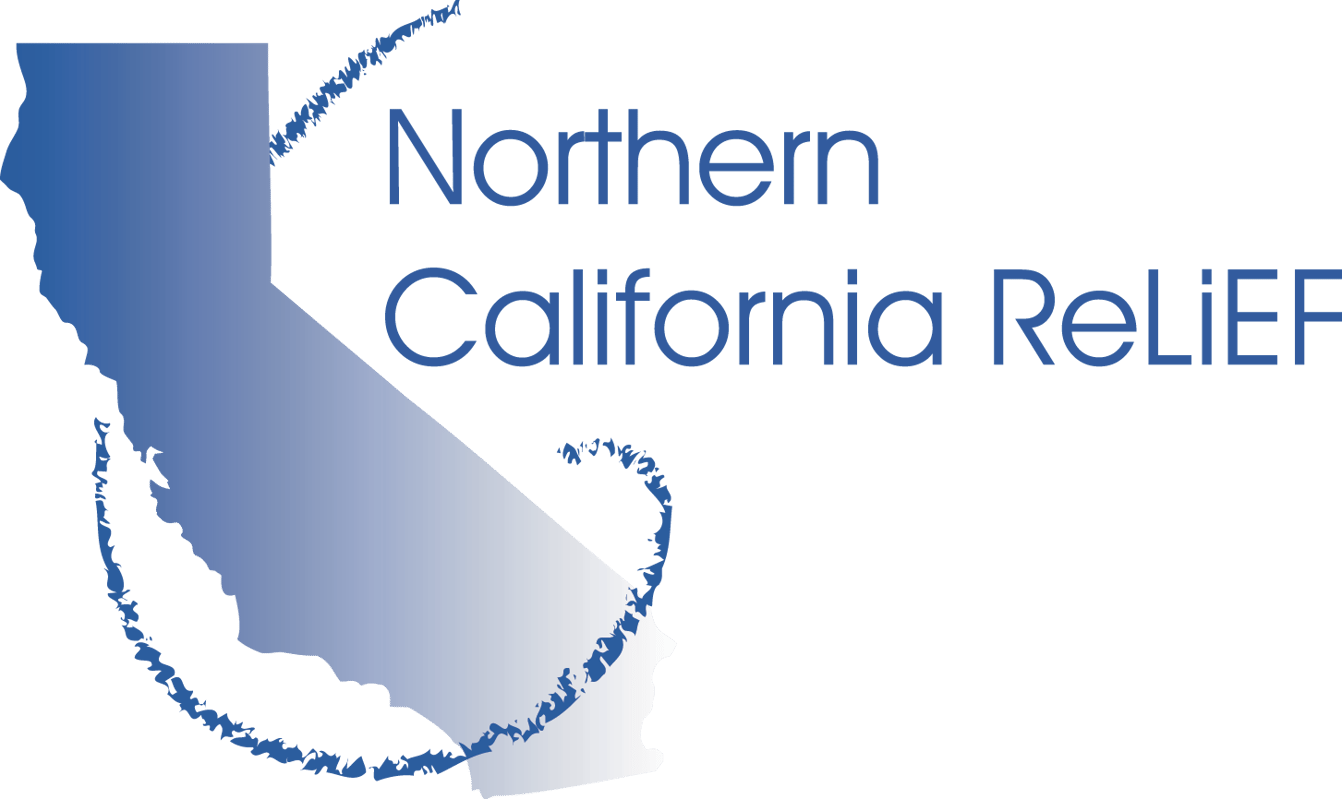 NCR Logo