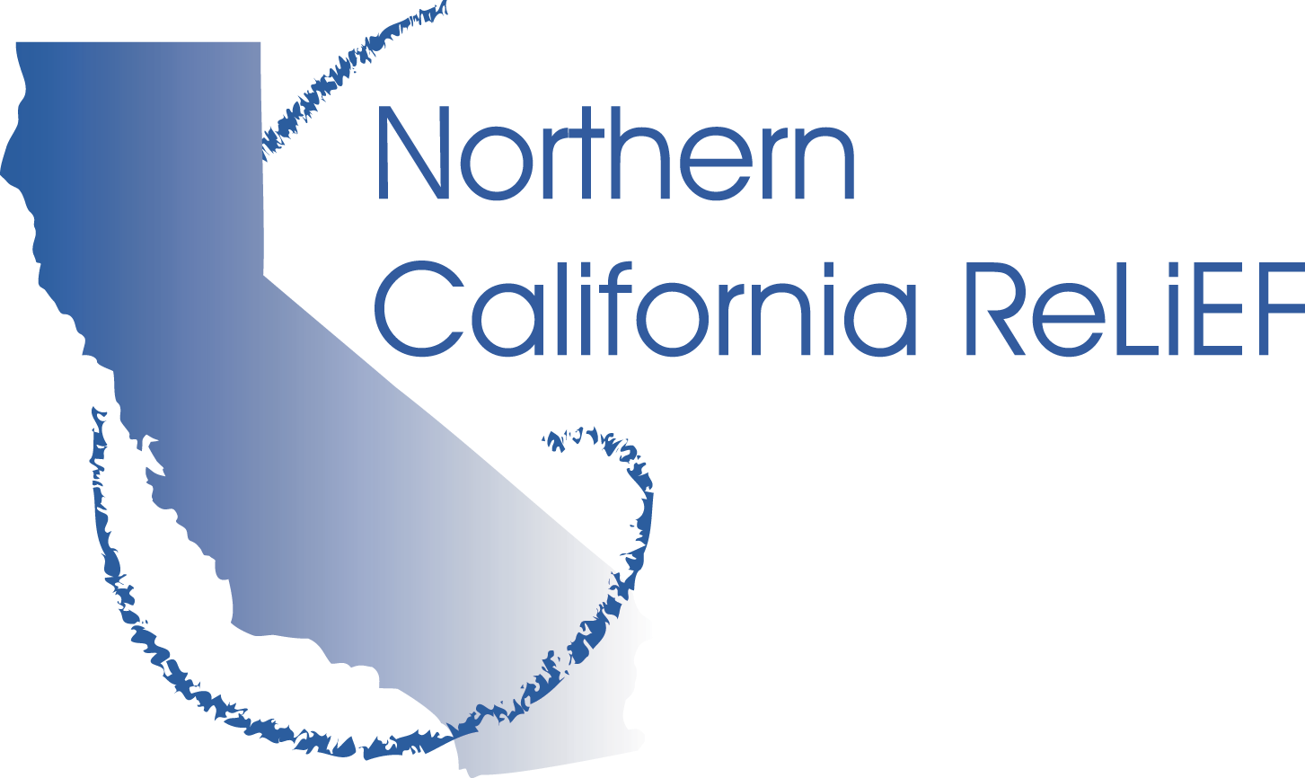 NCR Logo